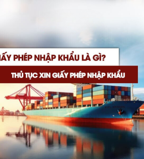 HỖ TRỢ VÀ XIN GIẤY PHÉP NHẬP KHẨU