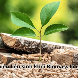 nhien-lieu-sinh-khoi-biomass-la-gi