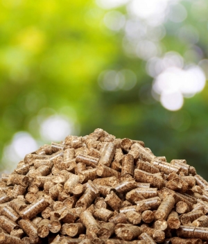 Viên nén gỗ là gì (Wood pellet)? Ưu điểm của viên nén gỗ