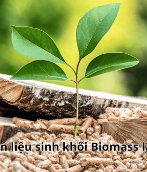 Nhiên liệu sinh khối Biomass là gì ?