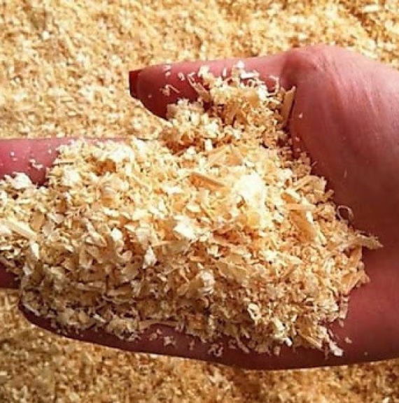 Sản xuất và cung cấp Mùn cưa gỗ